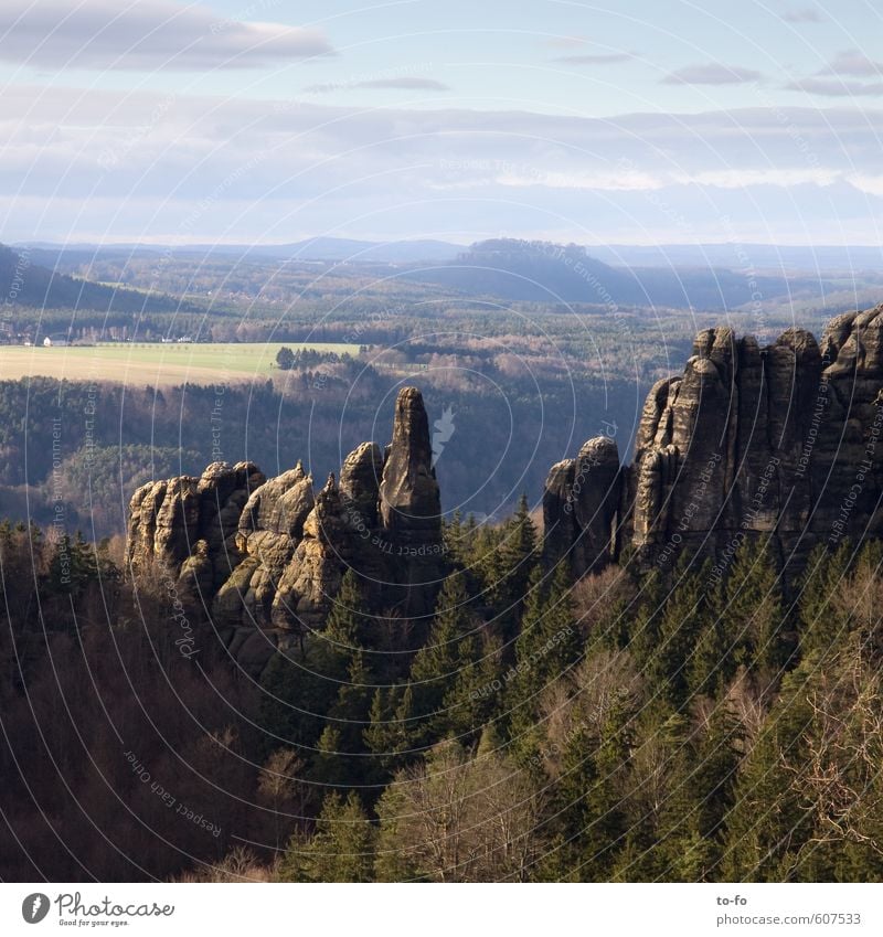 Blick von den Schrammsteinen zum Königstein Umwelt Natur Landschaft Feld Wald Hügel Felsen Berge u. Gebirge wandern frei hoch Sächsische Schweiz