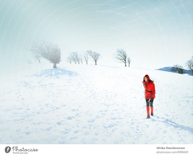 Black Forest Arctic Expedition ruhig Abenteuer Winter Schnee Berge u. Gebirge wandern Mensch feminin Frau Erwachsene Leben 1 45-60 Jahre Himmel Baum Schwarzwald