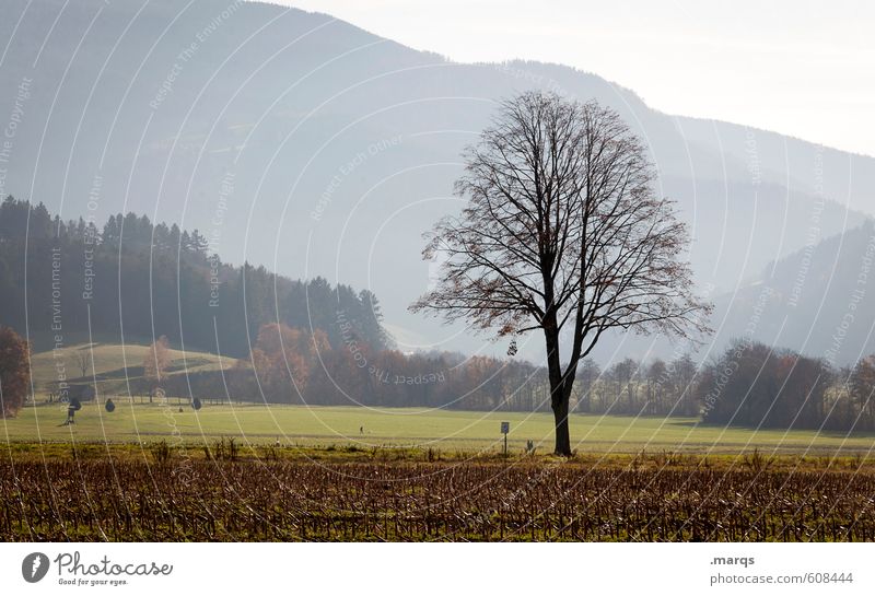 Frühjahr Ausflug Umwelt Natur Landschaft Himmel Frühling Schönes Wetter Baum Wiese Feld Wald Hügel frisch neu schön Stimmung Frühlingsgefühle Farbfoto