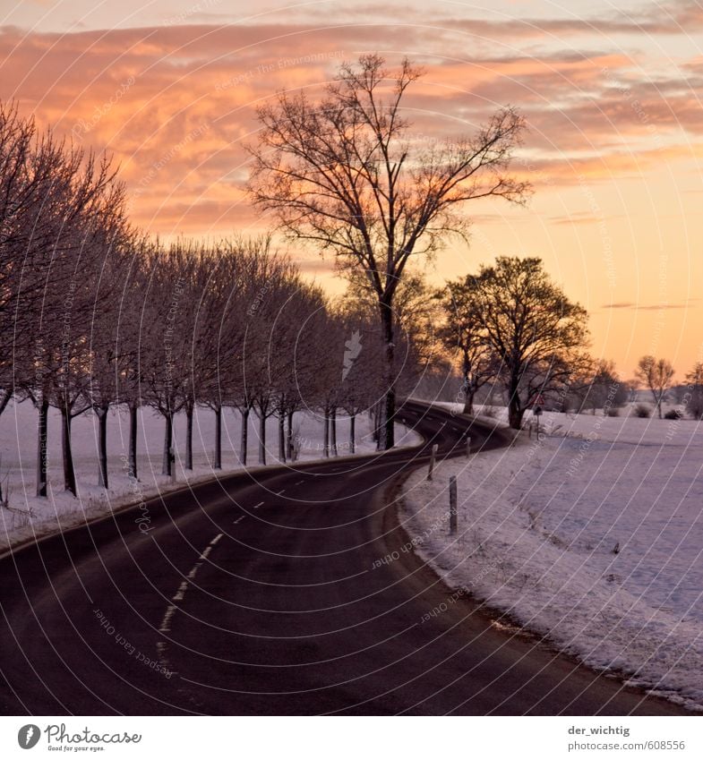 Straße am Morgen in den Sonnenaufgang Natur Landschaft Himmel Horizont Sonnenuntergang Winter Wetter Eis Frost Schnee Baum Wildpflanze Wald Landstraße
