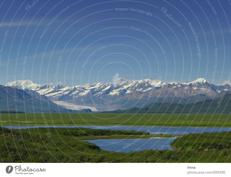 Denali Highway, Alaska Natur Landschaft Urelemente Wolkenloser Himmel Sommer Schönes Wetter Berge u. Gebirge Schneebedeckte Gipfel Gletscher See Ferne