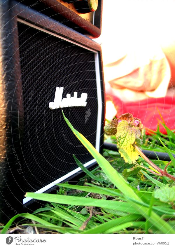 Miniverstärker laut Lautsprecher Verstärker Membran Hersteller Gras grün Pflanze Wiese Klang Lust Laune Frühling Tiefenschärfe proportionen Makroaufnahme