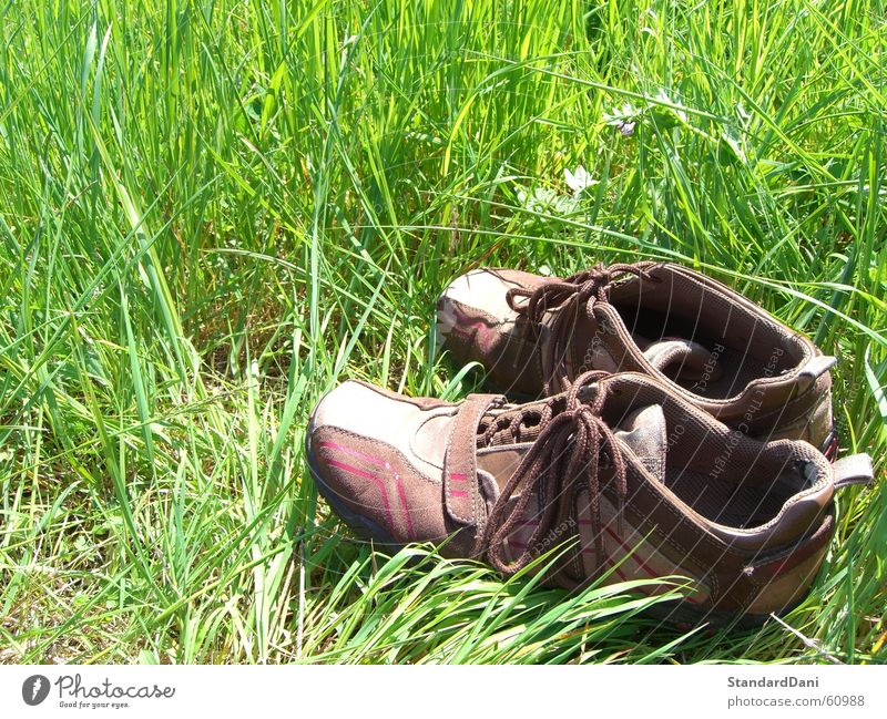 Back2Roots Wiese lüften Gras grün resignieren Schuhe Erholung ruhig Einsamkeit Rasen schweigen Sportrasen Sommer Bekleidung Natur müßiggang Weide