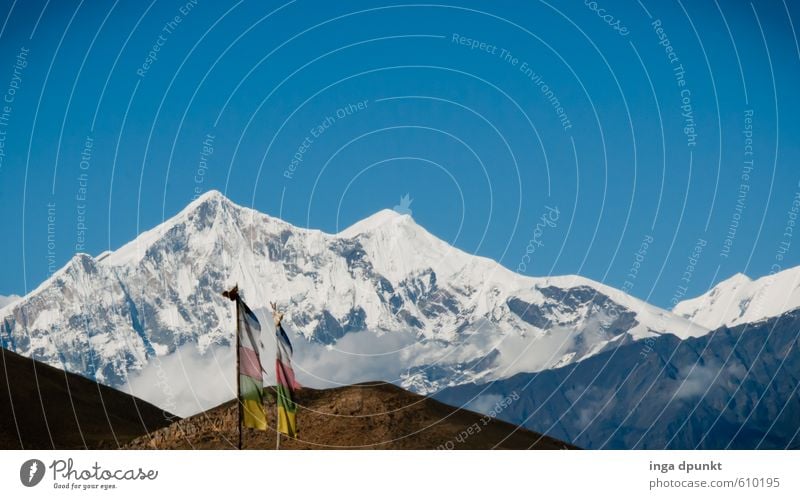 Annapurna Umwelt Natur Landschaft Himmel Wolkenloser Himmel Klima Schnee Felsen Berge u. Gebirge Gipfel Schneebedeckte Gipfel Gletscher Nepal Asien Himalaya