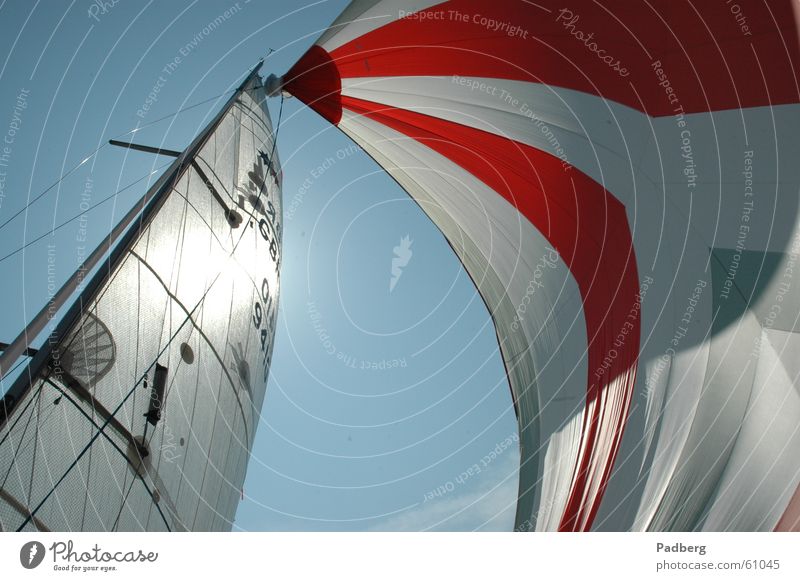 Segeln pur Wassersport Luft Licht Abenteuer segeln auf dem ijsselmeer gennaker bunte segel hohe geschwindigkeit Sonne gutes gefühl Wind streicht um die nase