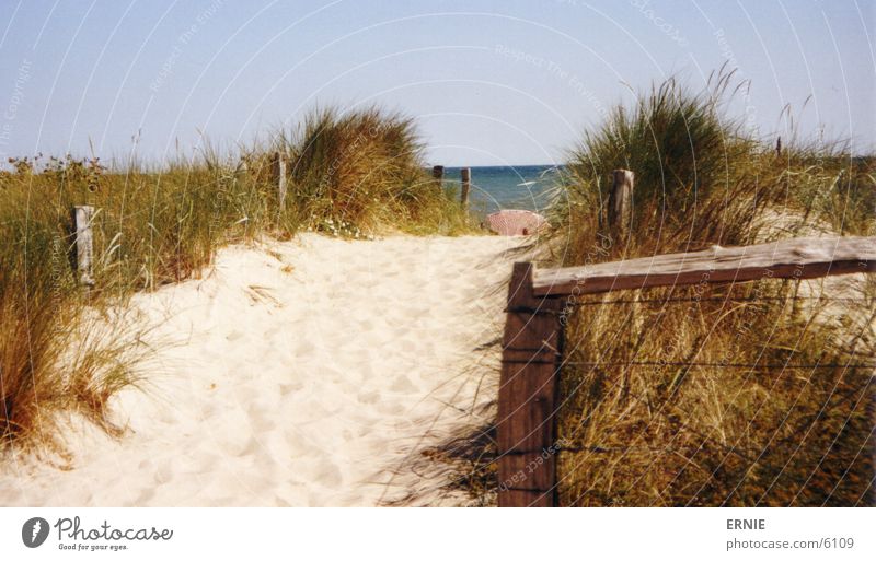 Boah...mehr meer sehn Strand Ferien & Urlaub & Reisen Gras Holz Draht Physik Wellen Sand Stranddüne Pfosten Regenschirm Himmel Sonne Wärme Wasser