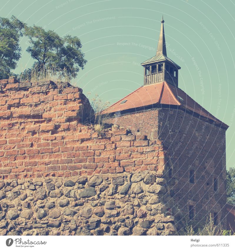 alles nur Fassade | historisch... Tourismus Ausflug Sommer Baum Beeskow Kleinstadt Burg oder Schloss Bauwerk Gebäude Architektur Mauer Wand Turm Burgturm