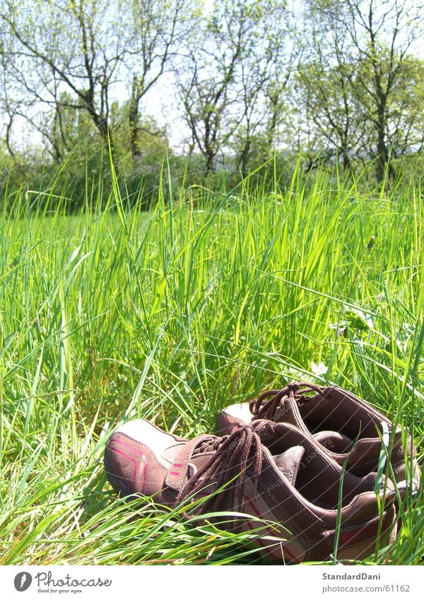 Aussteigen Wiese lüften Gras grün resignieren Schuhe Erholung ruhig Einsamkeit Rasen schweigen Sportrasen Sommer Bekleidung Natur müßiggang Weide