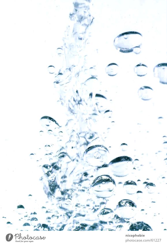 Sauerstoff Unterwasseraufnahme Mineralwasser Skulptur blasen bläßchen Blase Wasser blau water under bubbles blue Blubbern