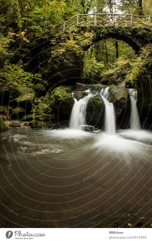 MärchenWald Wohlgefühl Erholung Freizeit & Hobby Ferien & Urlaub & Reisen Tourismus Ausflug Expedition wandern Natur Urelemente Wasser Herbst Felsen Flussufer