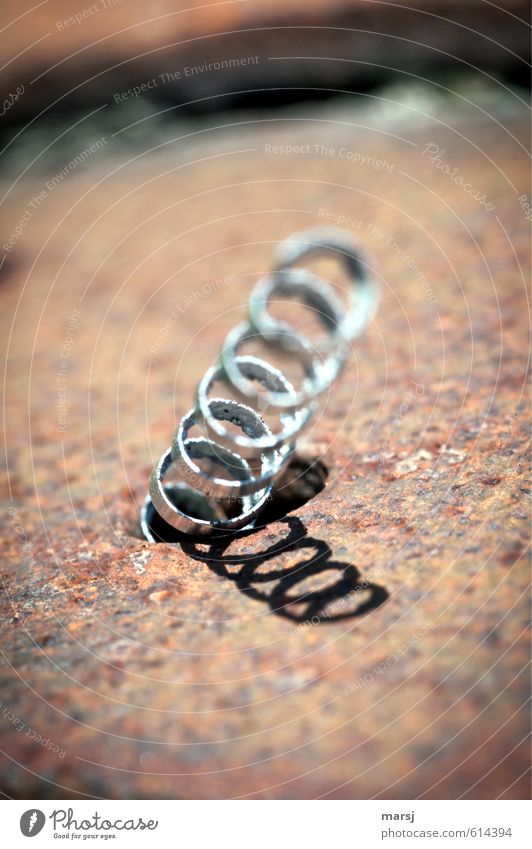 Total abgedreht :-) Metallbearbeitung Metallfeder Metallwaren Kunst Kunstwerk Stahl Rost Spirale Drehspan Späne Eisenspäne drehen stehen werfen außergewöhnlich