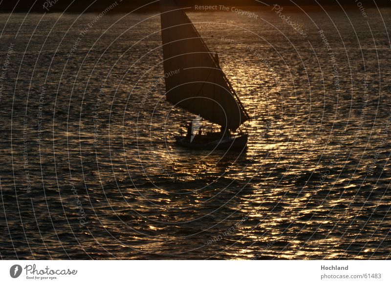 Abend am Nil Ägypten Abenddämmerung Sonnenuntergang Wellen Reflexion & Spiegelung Wasserfahrzeug träumen Transzendenz Fährmann Fluss Segel segel im licht