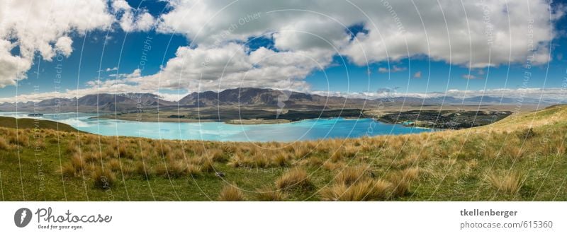 Lake Tekapo Neuseeland V Natur Landschaft Alpen Berge u. Gebirge Gipfel Schneebedeckte Gipfel Seeufer Südinsel blau Reisefotografie Ferien & Urlaub & Reisen