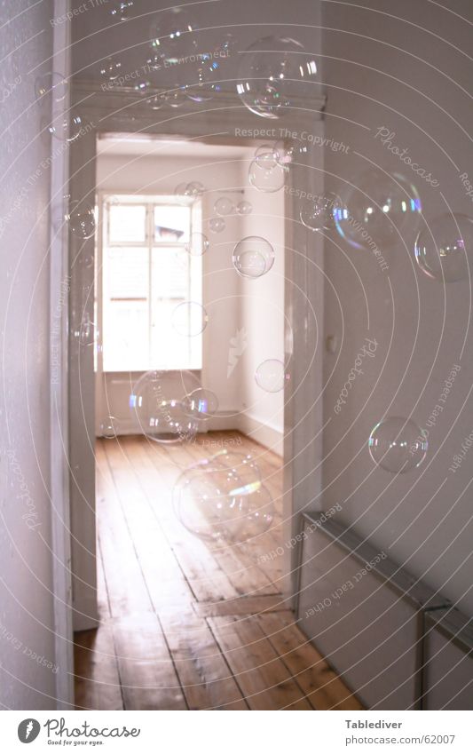 Bubbles Seifenblase Flur Fenster Licht Türrahmen Reflexion & Spiegelung Sonnenstrahlen Altbau hell rauchfasertapete Tag