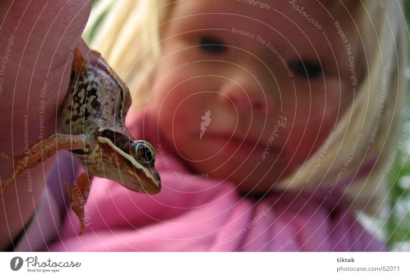 Froschkönig - behalten wollen Kind Mädchen Märchen Tier Kinderaugen festhalten Spielen entdecken begreifen Prinzessin Natur Auge staunen bewundern