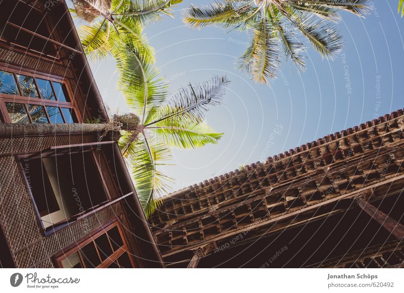 La Orotava / Teneriffa II Natur Pflanze Kanaren Spanien Fassade Balkon Terrasse Dach ästhetisch Palme Süden Blauer Himmel Sommerurlaub Ferien & Urlaub & Reisen