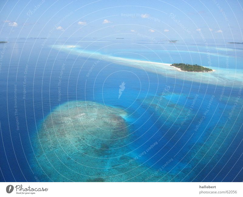 Malediven 02 Meer Ferien & Urlaub & Reisen Trauminsel Strand Küste Insel traumurlaub maldives traum urlaub