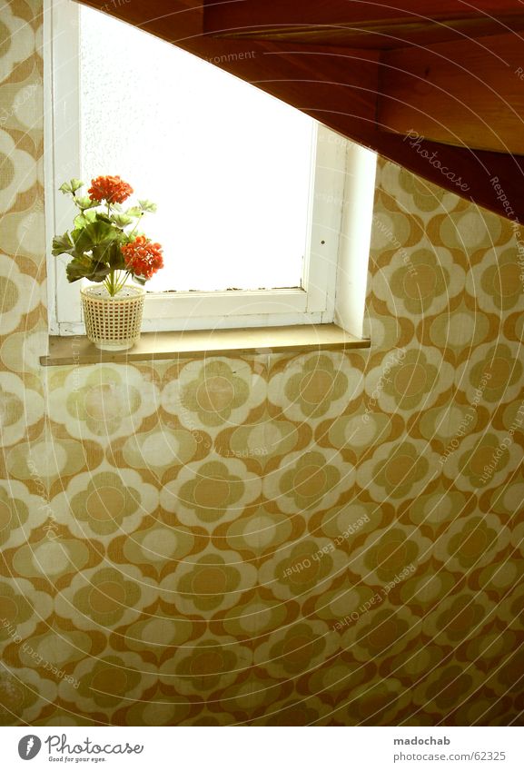 BLUME | oldschool retro 70ies 70er trash oma Blume Treppenhaus Fenster Kunstblume Siebziger Jahre Klischee Stil Blumentopf Bremen Dekoration & Verzierung Flur