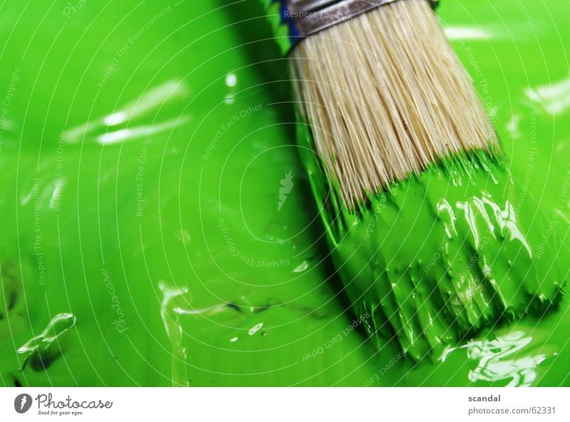 es grünt so grün... Pinsel Reflexion & Spiegelung Farbe Lack streichen zeichnen pinseln reflektionen