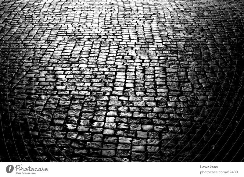 Kopfstein schwarz weiß Licht Bodenbelag Stadt antik Nostalgie Spiegel schön Festung Nürnberg Stein Schatten alt Altstadt Reflexion & Spiegelung Mittelalter