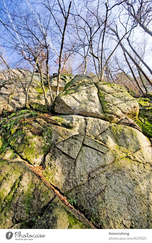 die Felswand Umwelt Natur Landschaft Pflanze Luft Himmel Wolken Herbst Wetter Schönes Wetter Baum Moos Blatt Wald Felsen Stein stehen groß hoch blau grau grün