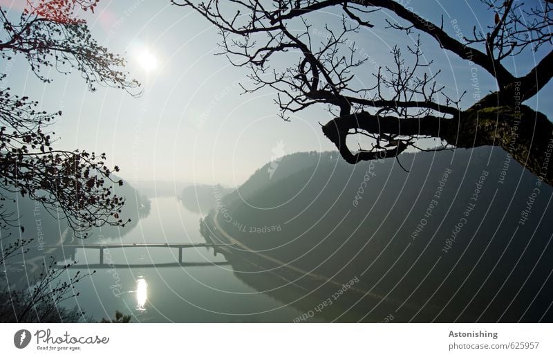 Donau Umwelt Natur Landschaft Pflanze Luft Wasser Himmel Wolkenloser Himmel Horizont Sonne Sonnenaufgang Sonnenuntergang Herbst Wetter Schönes Wetter Baum Wald