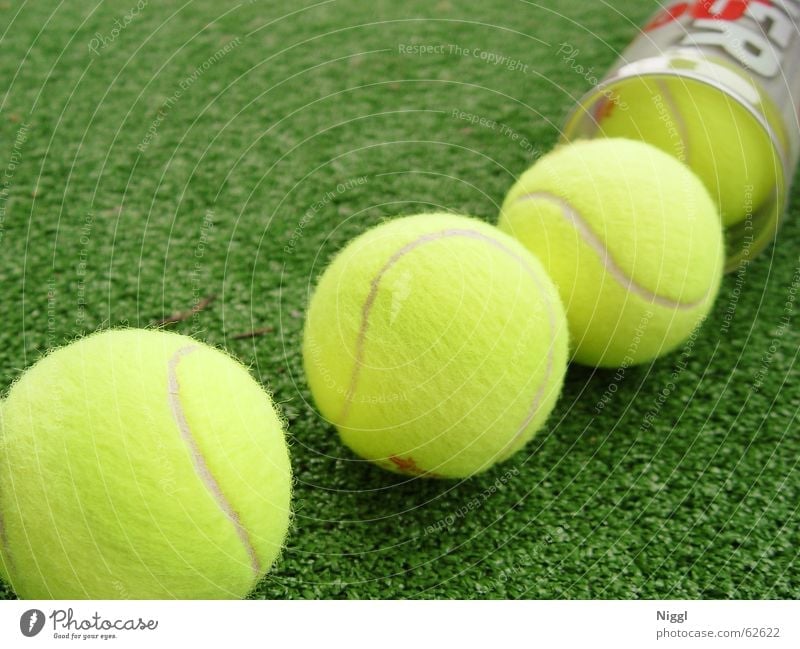 Serving for Match Tennis Tennisball gelb grün Wimbledon Filz Gras Rasen Sport Ball niggl