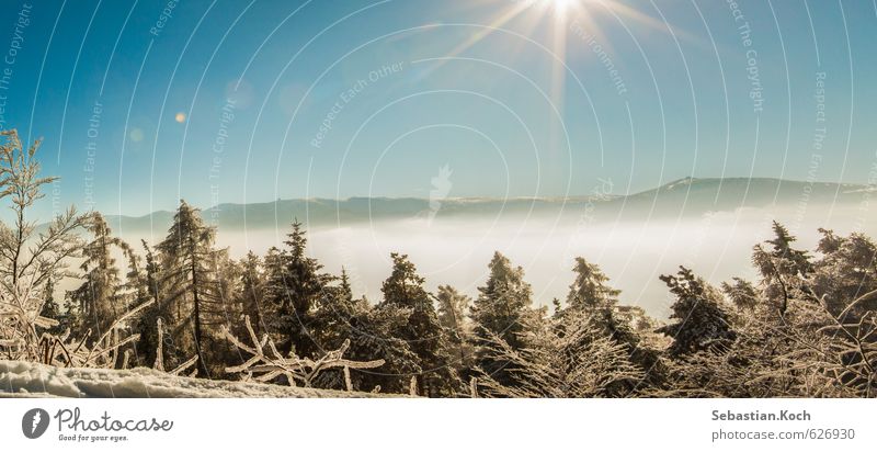 Wintertraum Freizeit & Hobby Abenteuer Winterurlaub Berge u. Gebirge Feierabend Natur Landschaft Wolkenloser Himmel Horizont Sonne Sonnenlicht Schönes Wetter