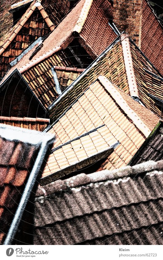Dächer, Dachzeigel, Giebel, Altstadt von Quedlinburg Gebäude Stein rot Ordnung Dachziegel Weltkulturerbe Sachsen-Anhalt Fachwerkfassade Deutschland Osten