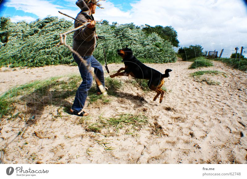hol das stückchen Hund Strand Stock Rottweiler Mischling Weitwinkel werfen Bewegung Spielen spielend spielerisch apportieren Außenaufnahme Sandstrand