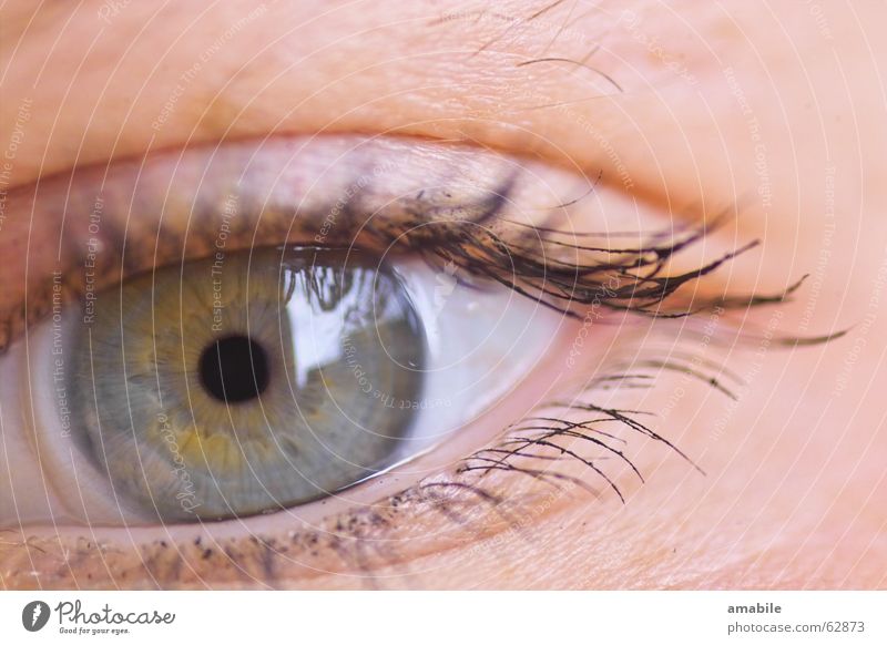 SEHNsucht Wimpern Kontaktlinse Reflexion & Spiegelung Hautfarbe Auge Blick Regenbogenhaut Mensch Farbe blau Makroaufnahme Pupille Blick in die Kamera