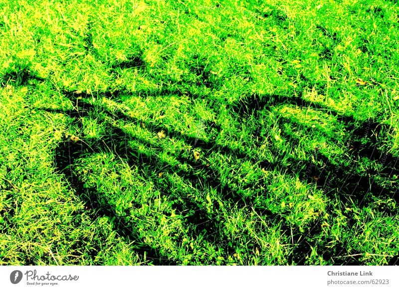 Fahrradschatten Wiese Gras grün Sommer Schatten Bewegung Natur Sonne Freude Außenaufnahme