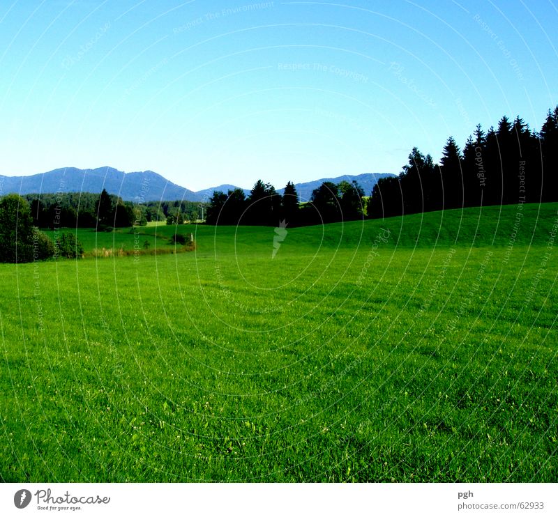 Saftige bayerische Wiese bei Iffeldorf Bayern Wald grün Landschaft Berge u. Gebirge Himmel grüne saftige wiese blau