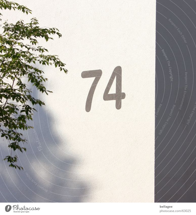 74 Ziffern & Zahlen Wand Baum Hausnummer Ecke grau weiß Außenaufnahme Schatten gerde vierundsiebzig