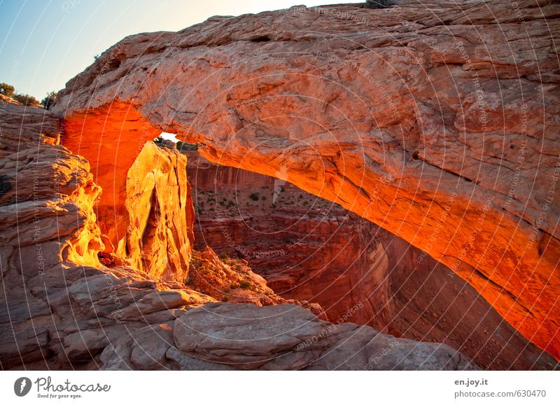 mal so rum Natur Landschaft Himmel Felsen Schlucht Canyonlands National Park Mesa Arch leuchten außergewöhnlich fantastisch blau braun orange Abenteuer