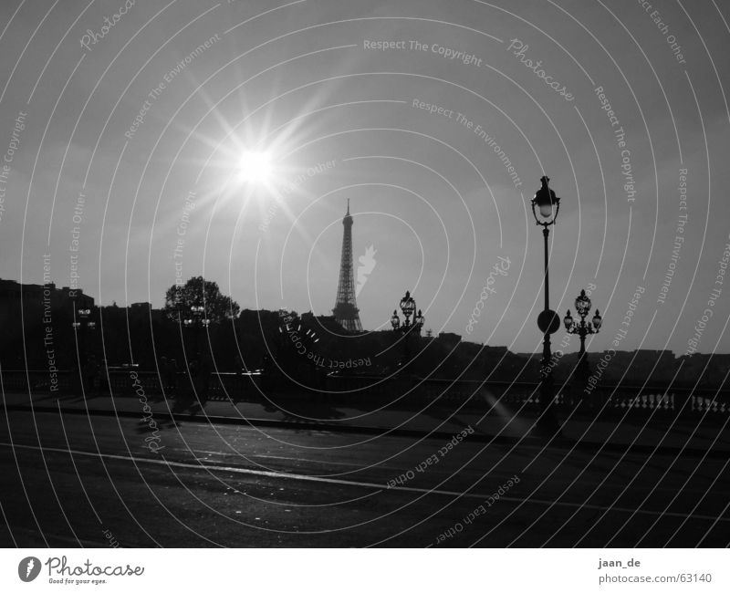 Paris, Paris ... Tour d'Eiffel Eisen Stahl Europa Frankreich Stadt Licht träumen Straßenbeleuchtung Laterne Lampe Aussicht Gegenlicht Außenaufnahme Turm Sonne