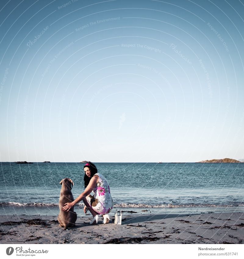Zwei Damen am Meer Lifestyle Freude Sommer Sommerurlaub Strand Mensch feminin Frau Erwachsene Leben Wasser Schönes Wetter Kleid Tier Hund beobachten entdecken