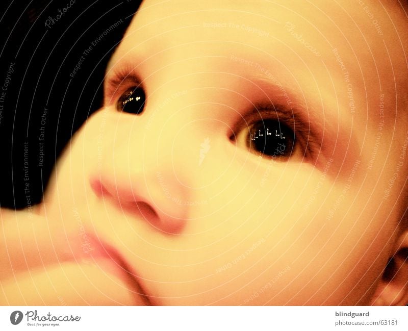 Die Melodie Deiner Augen Neugier Kind Kleinkind Baby Gefühle Geborgenheit Kinderaugen glänzend Wimpern Reflexion & Spiegelung besinnlich Geistesabwesend träumen