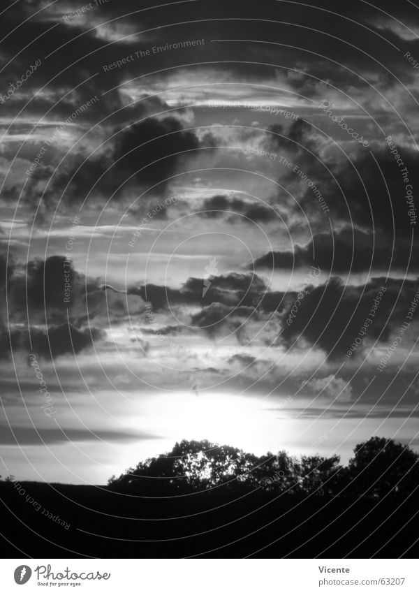 Event Horizon Sonnenuntergang Wolken Stratokumulus Dämmerung schwarz weiß grau Monochrom Baum Sträucher Horizont Einsamkeit Menschenleer Licht dunkel Nacht