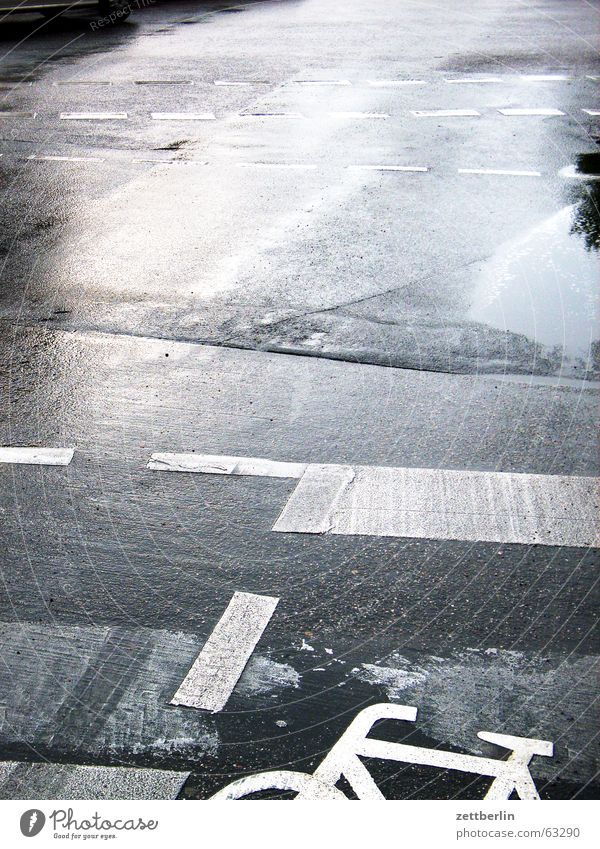Heimweg Pfütze Fahrrad Fahrradweg Asphalt einzigartig Öffentlicher Personennahverkehr nass schlechtes Wetter Regen Straße Schilder & Markierungen Wasser