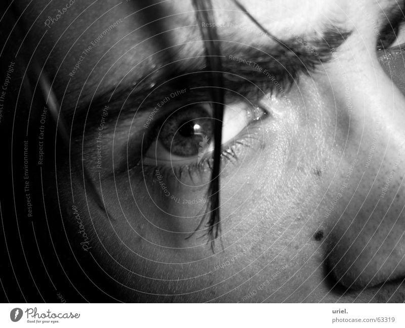 LidSchatten Pupille Wimpern Augenbraue eye haarstähne Haare & Frisuren Regenbogenhaut Schwarzweißfoto Blick Momentaufnahme