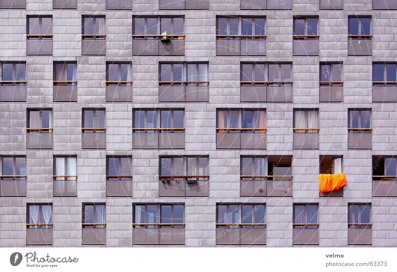 oranje bouwen Fassade Fenster Raster Muster anonym Amsterdam Niederlande orange symetrie Architektur