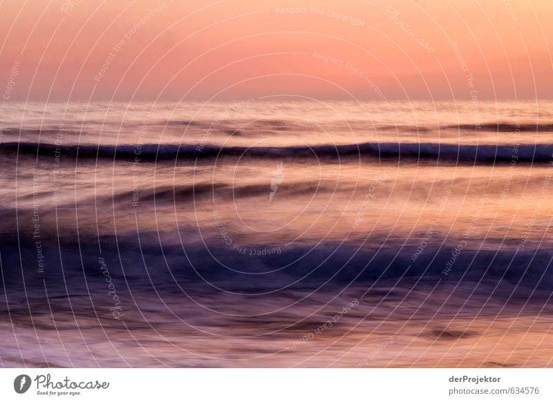 lila Wellen – wie gemalt Umwelt Landschaft Sand Wasser Sonnenaufgang Sonnenuntergang Sommer Schönes Wetter Küste Strand Meer Gefühle Stimmung Tugend Freude