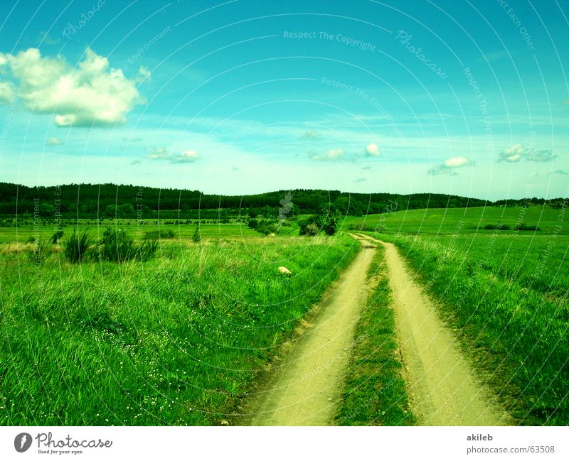 Weg Hoffnung Gras Wolken grün unterwegs Himmel Zukunft Unendlichkeit Wege & Pfade Natur Rasen Landschaft blau Flüssigkeit Ferien & Urlaub & Reisen sky Ziel