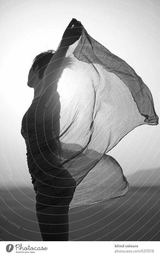 s'envoler Kunst ästhetisch Zufriedenheit Frau Frauenkörper Tuch wehen Wüste Sand Erotik Wind Schwarzweißfoto Außenaufnahme Makroaufnahme Experiment abstrakt