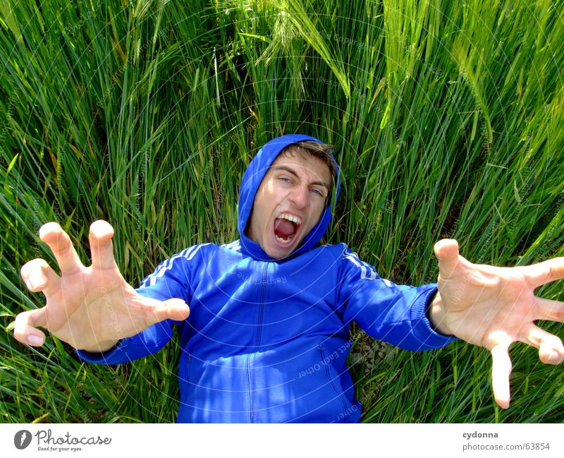 Das Riesenbaby Mann Jacke Kapuzenjacke Porträt Gras Feld Sommer Gefühle grün Krallen Zerstörer lustig verrückt Hand Mensch Gesicht Gesichtsausdruck Blick Natur