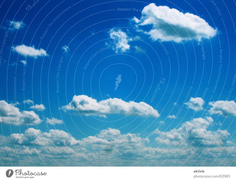 Wölkchen Wolken weiß Ferne himmlisch Hintergrundbild Himmel blau Freiheit oben clouds sky