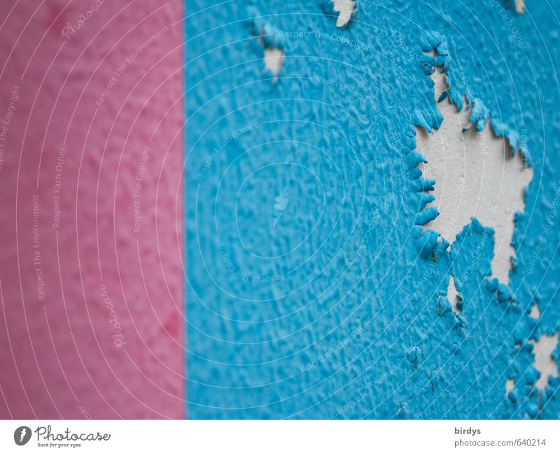 Farbabrisse Mauer Wand ästhetisch authentisch blau rosa Senior Verfall Wandel & Veränderung mehrfarbig Farben und Lacke blätternd abblättern Schaden schön