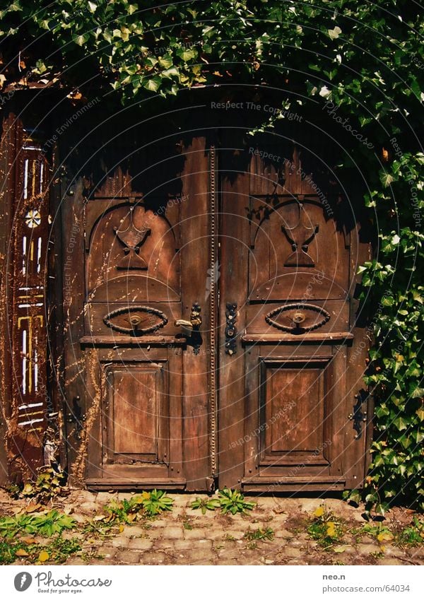 Geheime Tür Haus Pflanze Efeu Burg oder Schloss Ruine Architektur Holz Schlüssel alt dunkel historisch braun grün geheimnisvoll Schnitzereien mystisch Portal