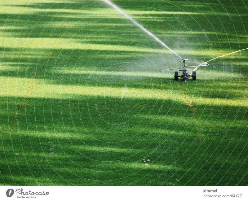 Rasensprenger Fußballplatz grün Strahlung Wasserstrahl Bewässerung Schatten